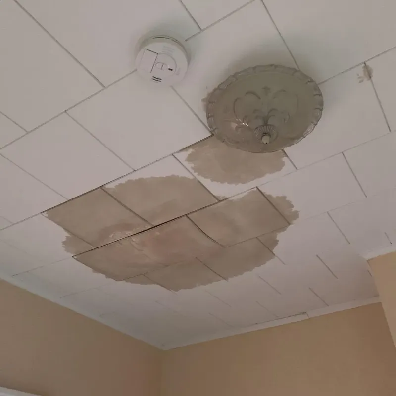 Ceiling Water Damage Repair in Williston, VT