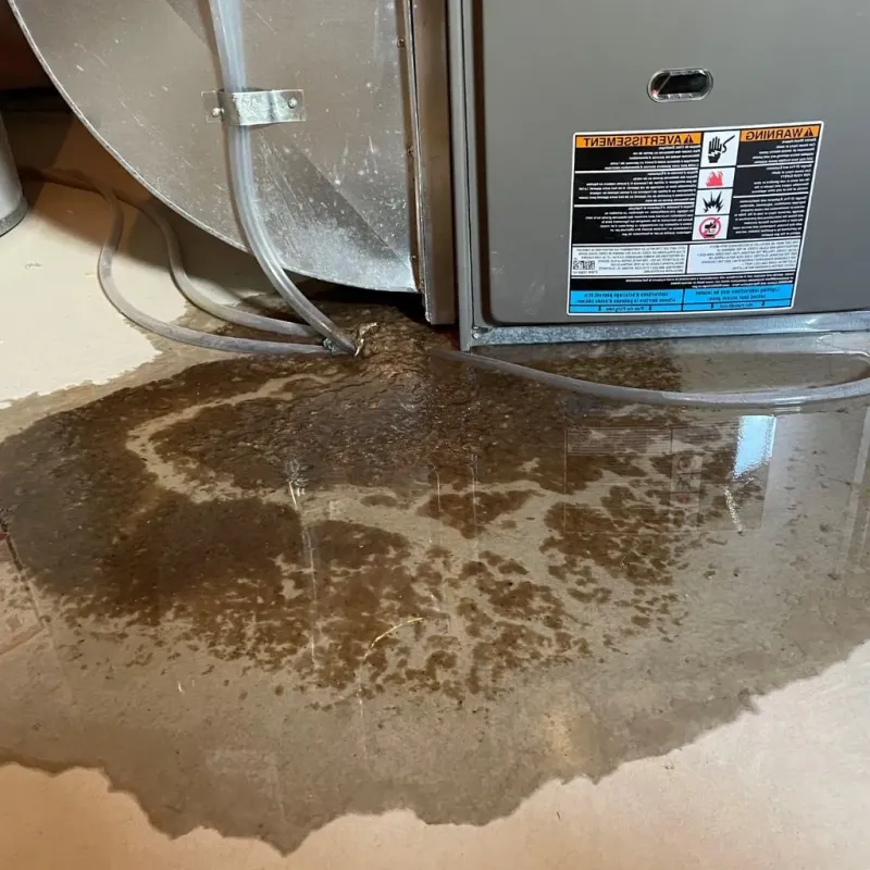 Pipe Burst and Leak Restoration in Williston, VT